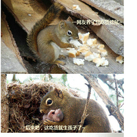 һԻСԻȻ˾ͷˡ