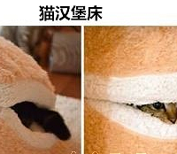 ˼ҾߡҶ뵱èˣ~