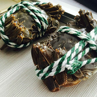 �������κ���բз���ൽ��+��ɹ������ʳ��