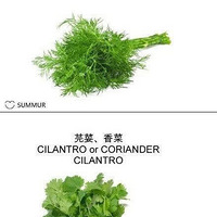 ��Щ�����㶼��ʶô�����еĳ�����������ô������������������ȫ