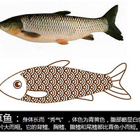 Ϊ�����޶����㣬����������Ҳ����ƴ�ˡ�����