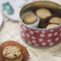 ���俾����