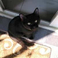 ��������̨���⡿300����10�˲ͳԳ��������ⷶ