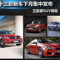 ʮ³¼з SUV