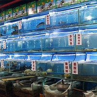 ���ƺ��ʴ�ͣ�ζ�������գ�������ʵ�ݣ�