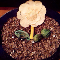 ��������������+��ʥ������Լ�����