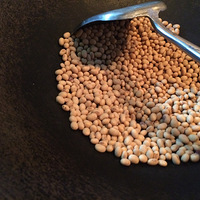 �Լ���Ŵ����