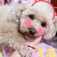 2014����ڳԳԳԵ������ܽ�