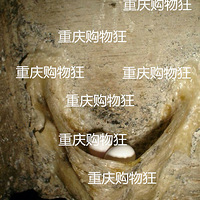 �������Ÿ����ƴ��Լ����˶�&����һ����������