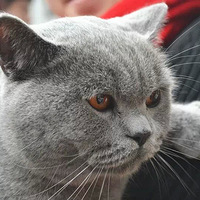 è~ӢŮ~