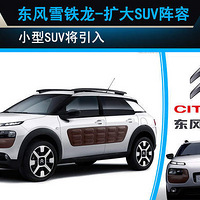 ѩSUV µСSUV