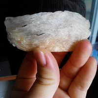 ��Ҳ�����������ѵ�����