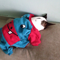 ���м���������档