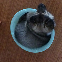 û˴Ըչһ3´