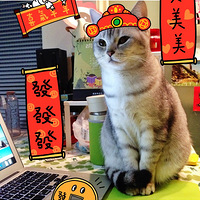 MatSuKoһ