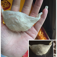 ͼ�Ĳ�ï�̴��������