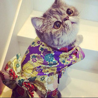 ݱĸӷСﹴɹ2