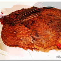 ���硾һ����ԡ�