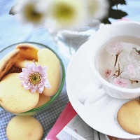 �決�Ǹ����۵Ŀ�+�����㿾��������ʳ��