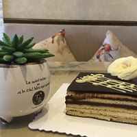 Ҳ�����ٴ������㣡���Ժ&�ֹ��ɿ�������+�����㿾��������ʳ��