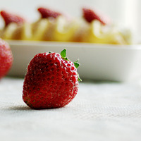 ���Ի����䡿�β�ݮСë��--����ѩ¶���