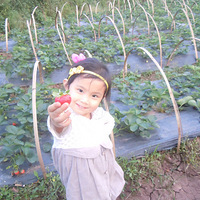 Ϊ���Ҽ�С�Ի�����Ҳ����ƴ�ġ���ժ��ݮ������ݮ��