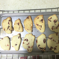 ��ҹ�Ŷ�֮��������֮��Խݮ����