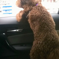 ���ܰɣ����ˣ�����Ȫ��С������˶���