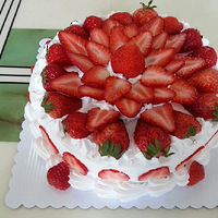 ȫ��ݮ���⣬����