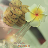��Elly's Cookies��9.14����2015�����±�