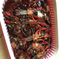 ���ƿ�ζϺ���ó�ͣ���¿ڣ�