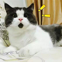 ż£ᣬأЧ???