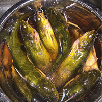 �̴���������˻�����
���д���������θ