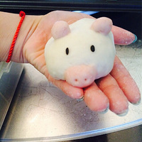 �����̻ư���