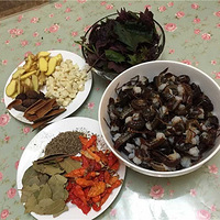 ��Ӧ�����һ����ϸ��ɳ��ζϺ�̵̳ģ��������������������