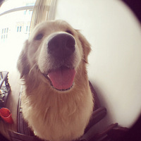 ���Ǳ�ү����ӵ��˧�������  ���а�����