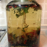 ���Ӹ�̴�������̲�ҩ��