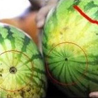 ����ˮ���ġ���ˮ����һ��С���ɡ�