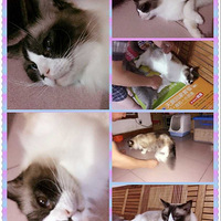 ɹ   ӦҵҪ ɹͷè~