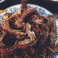 �������¾������������ʳ��̳��Ҳѧ�˺ܶ�