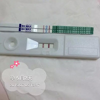 ӺаĻ֮+鲻ڸ¡̡