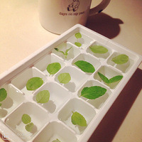 �ٲе�С��Ҳ����������-------���ɱ���