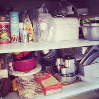 ����ɹ����Ь��ʲô��
����ϲ������Щ��Ҳ