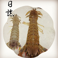 ���첻��������������кò��ϣ������ֺ���