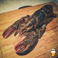 �����������˽٣��ڼ���ߣ����Ϻ