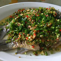 �¡���������ʪ�������罷�޴�����