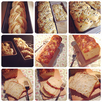 �黨�裬������------�������