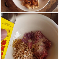 �㹽������