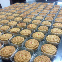 �����±�ɹ����