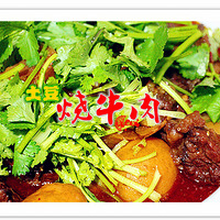 ������ţ��